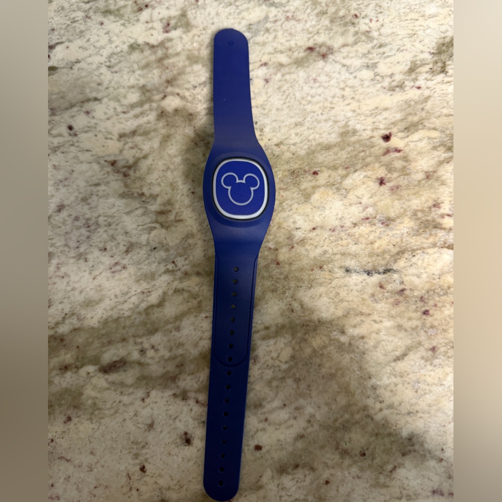 Blue Wearable Electronics Band